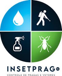 InsetPrag: Exploring the Platform, Features, and Digital Influence