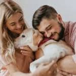 PetDardas.com: Connecting Pet Owners, Services, and Community